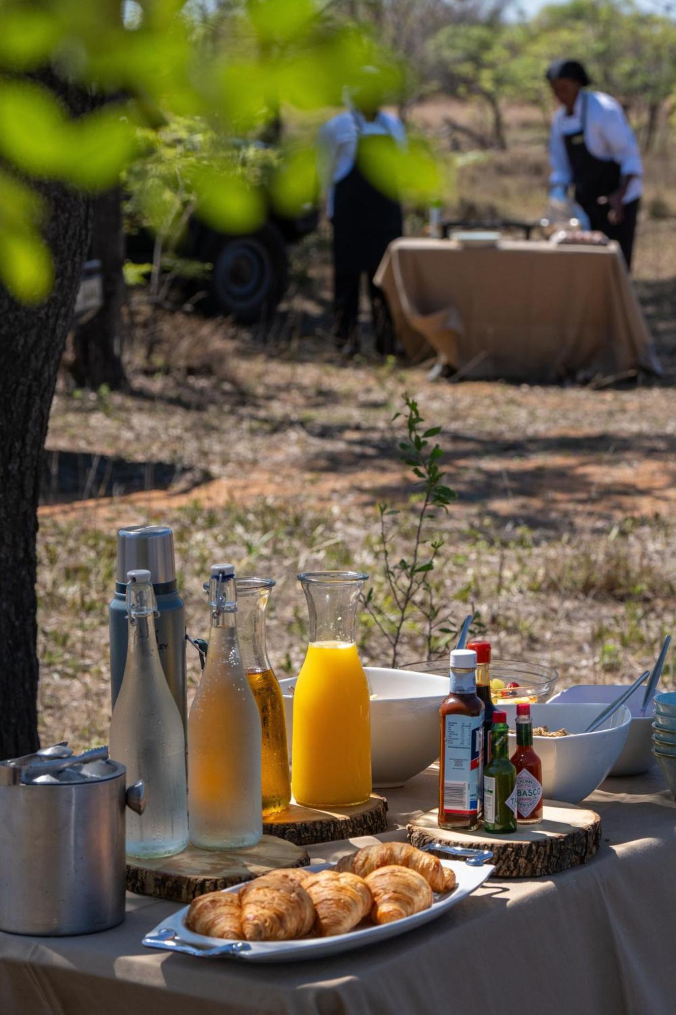 Sediba Luxury Safari Lodge 威尔吉旺登禁猎区 外观 照片