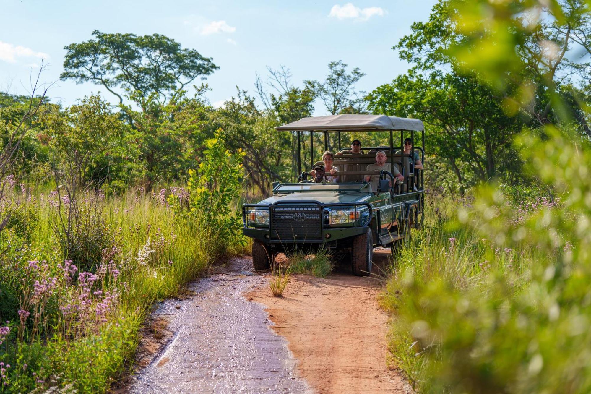 Sediba Luxury Safari Lodge 威尔吉旺登禁猎区 外观 照片